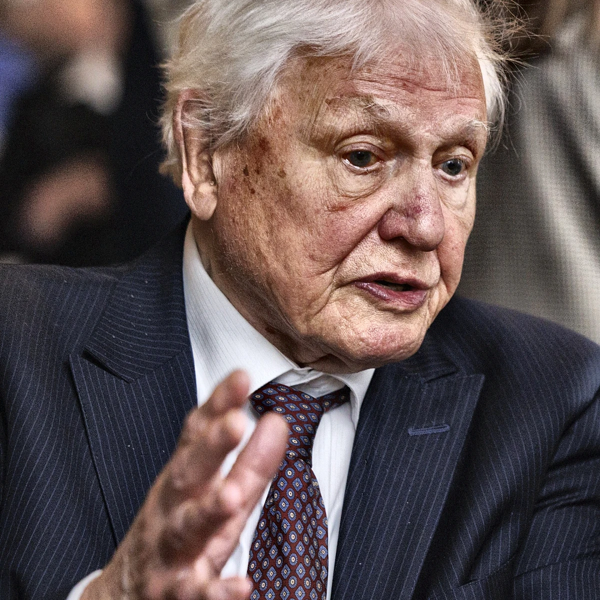 David Attenborough