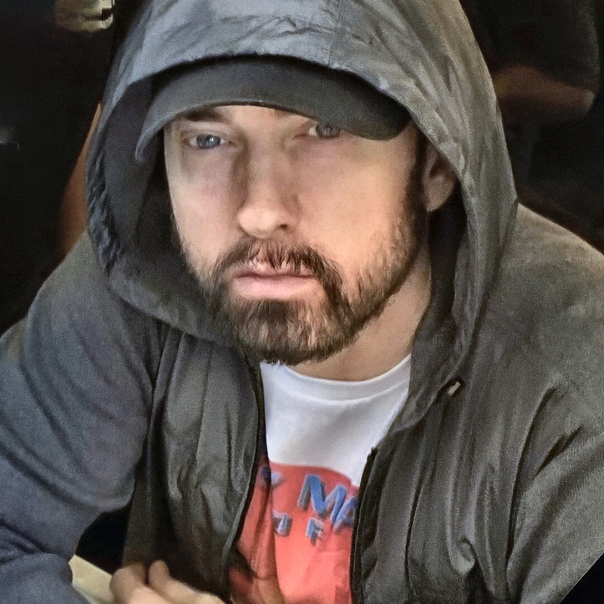 Eminem (The Slim shady LP)
