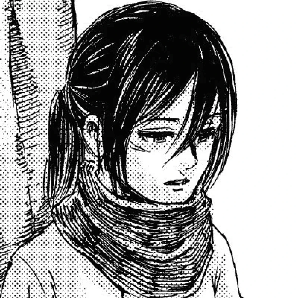 MIKASA